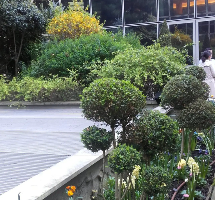 Plantations en entreprise