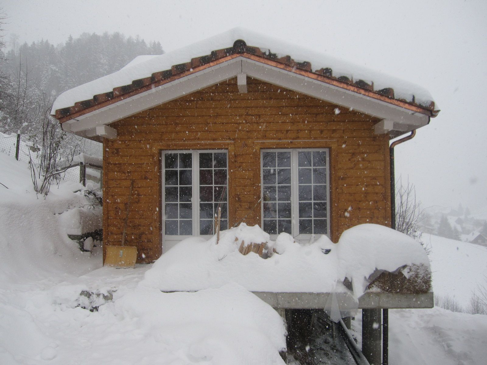 Fassaden - Ueli Hagdorn Holzbau / Bedachungen GmbH