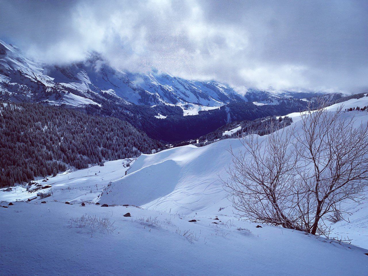 La Bournerie au Grand Bornand