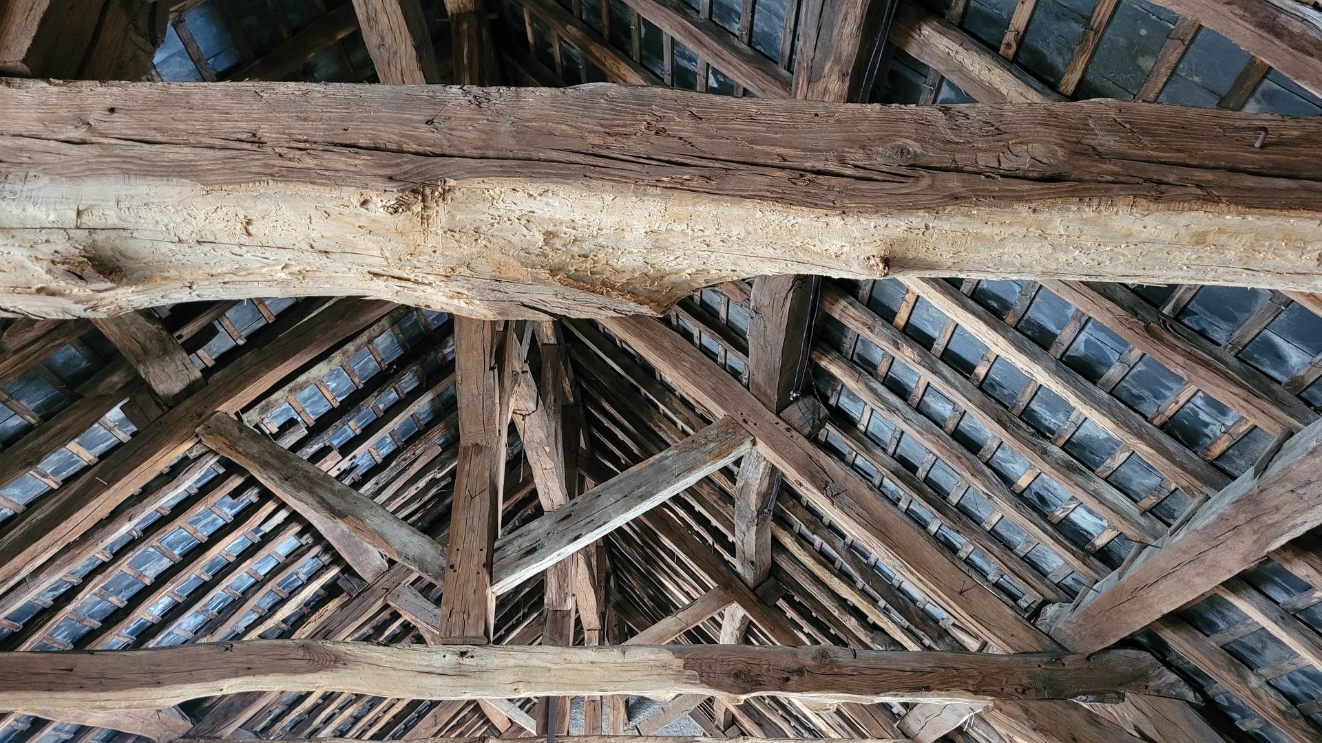 Charpente et poutres en bois vues d'en bas, avec des panneaux bleu-gris patinés au-dessus.