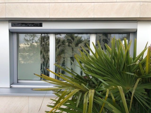 Fenêtre en aluminium partiellement cachée par une plante en pot