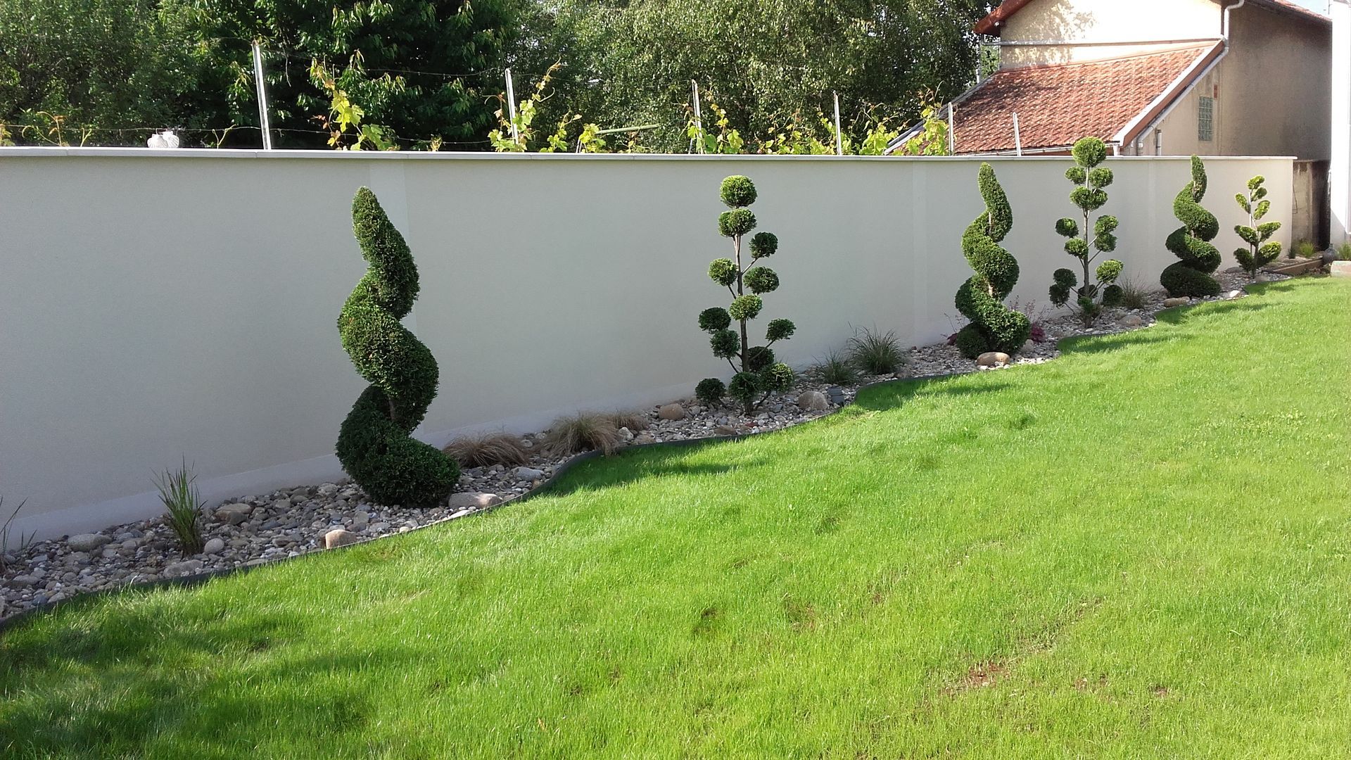 Plantation d'arbres décoratifs