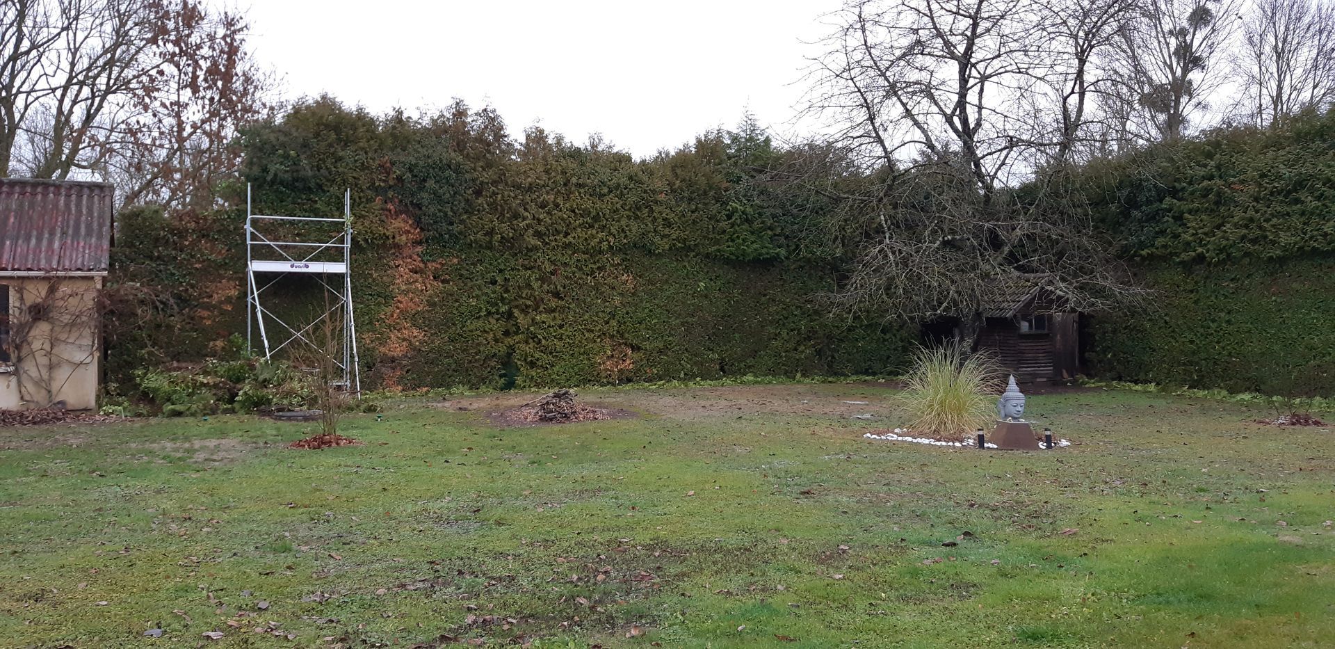 Haite en cours de taille