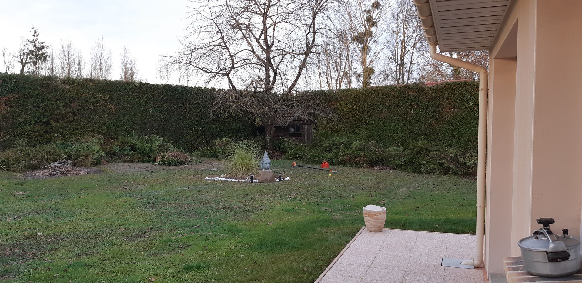 Taille de la haie finalisée