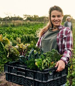 Quimidroga Portugal | Distribuição de Produtos Químicos