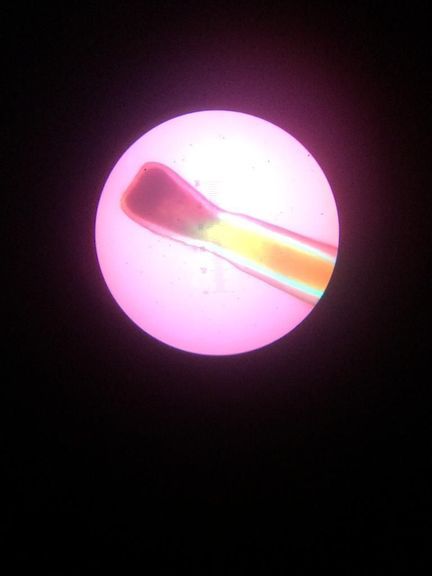Haarwurzel unter einem Mikroskop 1