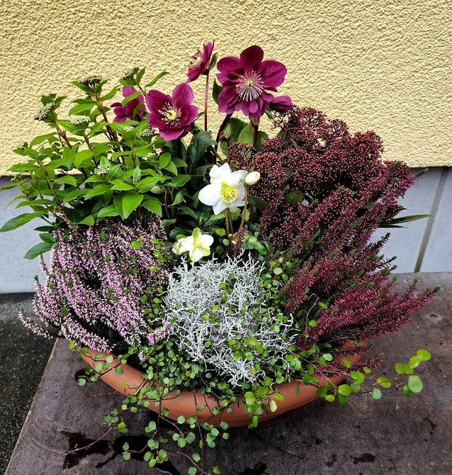 Blumengesteck - Albini Blumen in Winterthur