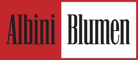 Albini Blumen - Logo - Blumen - Blumengeschäft - Winterthur