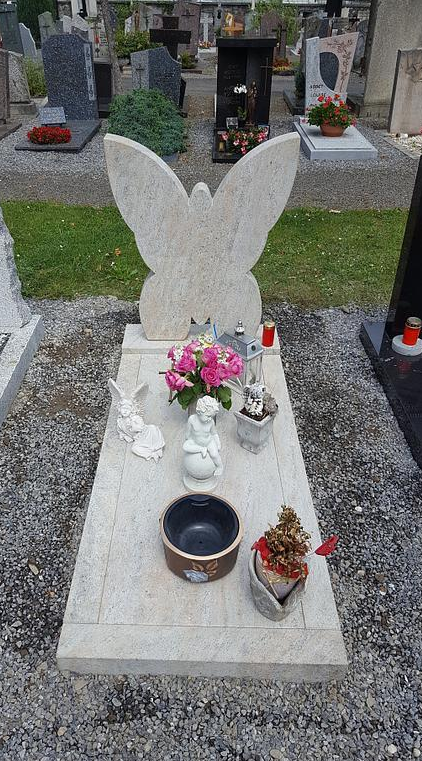 Pedrini sa pierres naturelles - Saxon - gravure