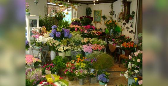 Plantes et fleurs - Passion Fleurs à Le Perreux sur Marne