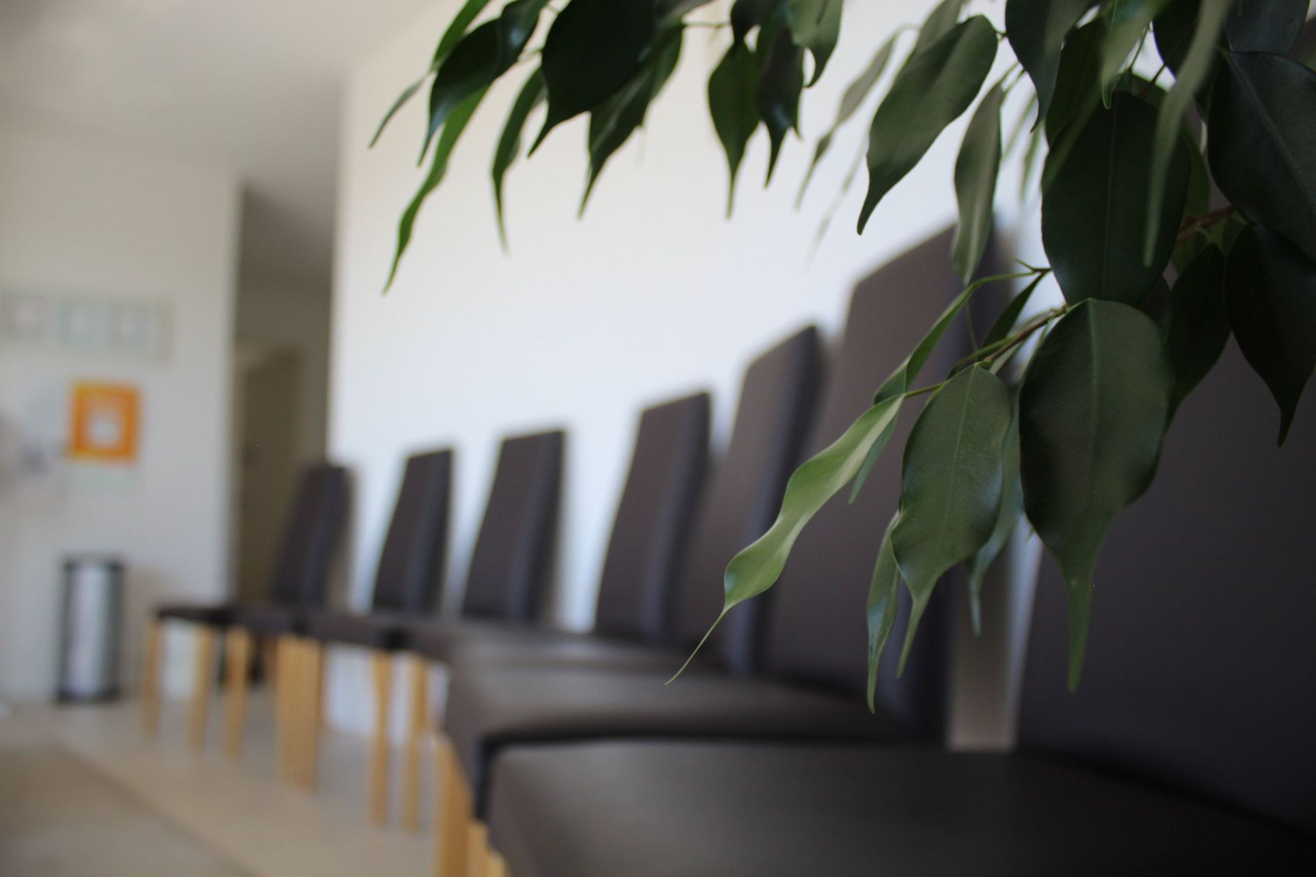 Dr Amro Moatemed - Psychothérapeute