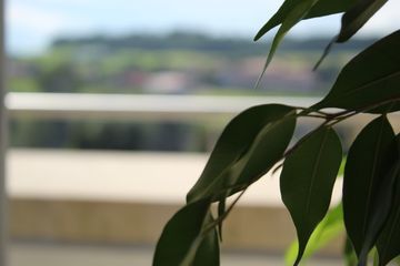 Dr Amro Moatemed - Psychiatre-psychothérapeute, psychologue