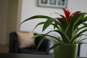 Dr Amro Moatemed - Cabinet médical de psychiatrie et psychothérapie