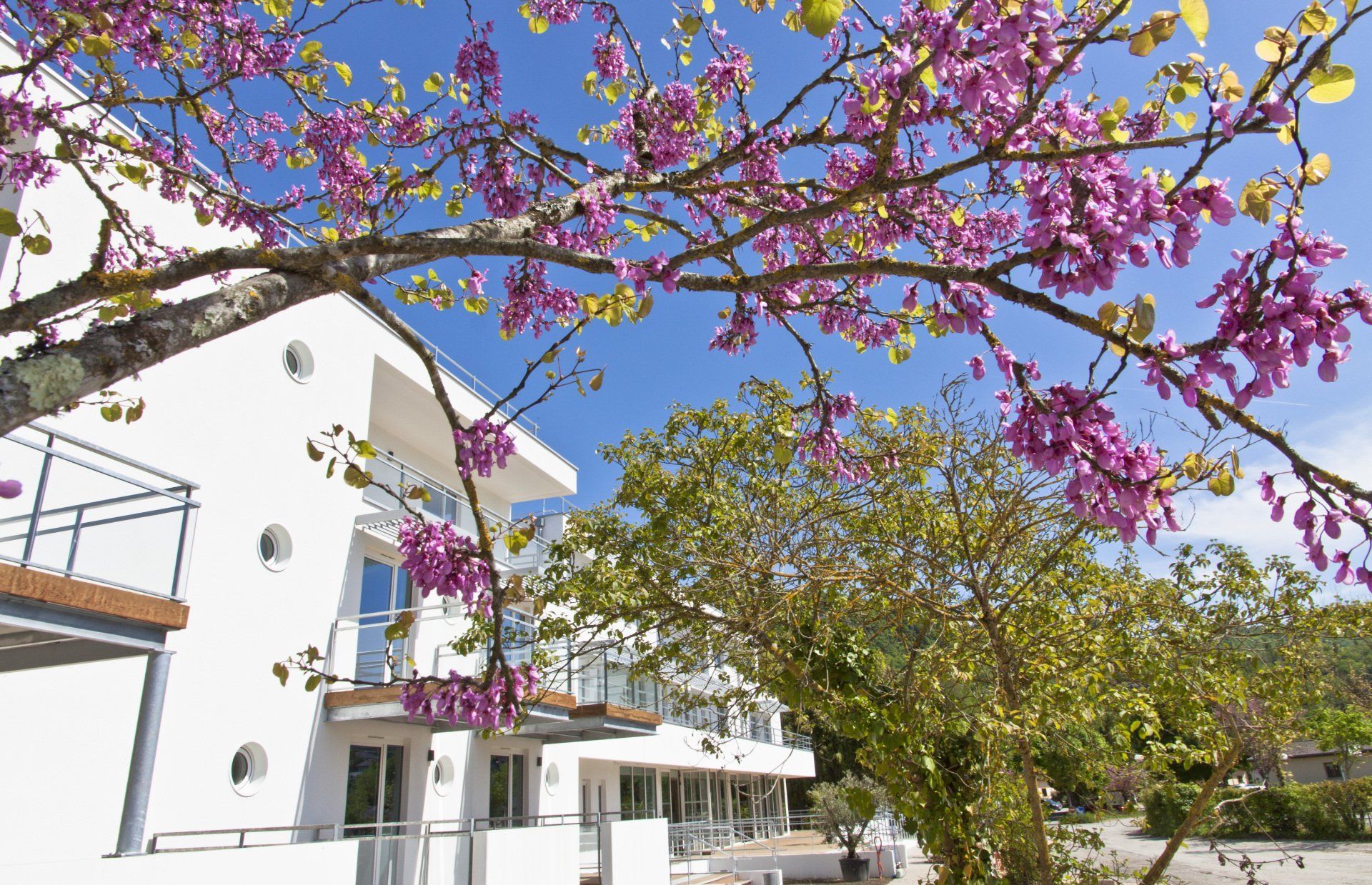 Vue de l'hôtel à Chanaz après les travaux de maçonnerie et les finitions