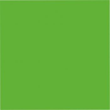 Ein hellgrünes Quadrat auf weißem Hintergrund.