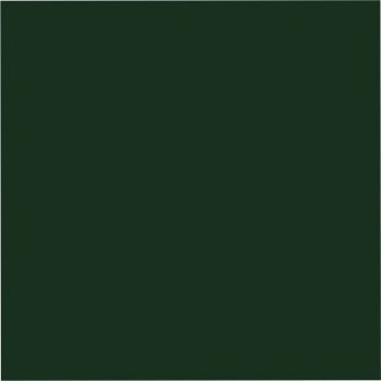 Eine Nahaufnahme eines grünen Quadrats auf weißem Hintergrund.