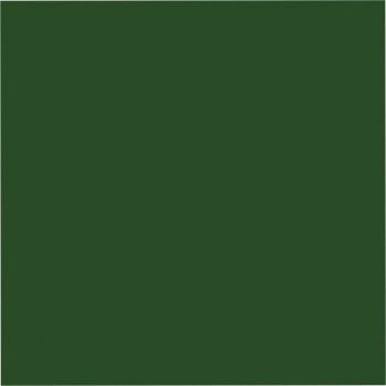 Eine Nahaufnahme eines grünen Quadrats auf weißem Hintergrund.