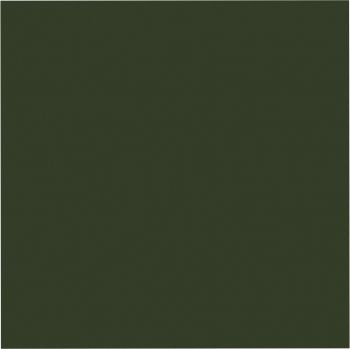 Eine Nahaufnahme einer grünen Kachel mit weißem Rand.