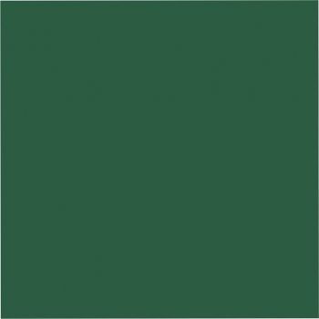 Eine Nahaufnahme eines grünen Quadrats auf weißem Hintergrund.