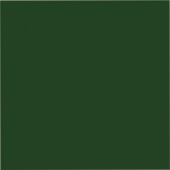 Eine Nahaufnahme eines grünen Quadrats auf weißem Hintergrund.