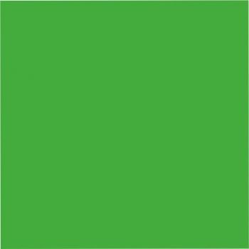 Ein grünes Quadrat auf weißem Hintergrund.