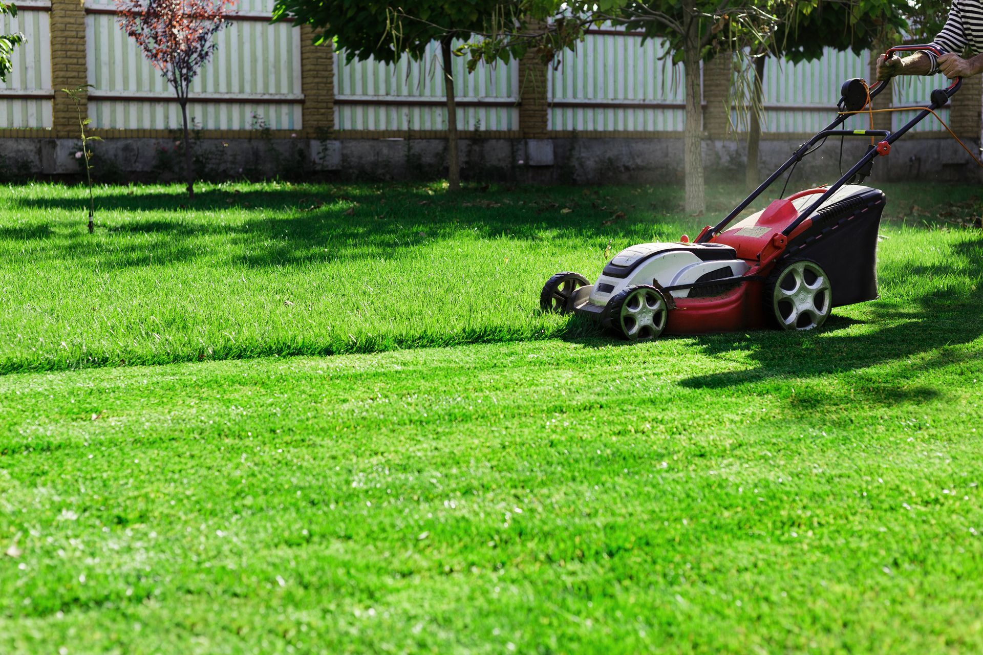 Personne tondant une pelouse verte luxuriante avec une tondeuse à gazon rouge et blanche dans un jardin.