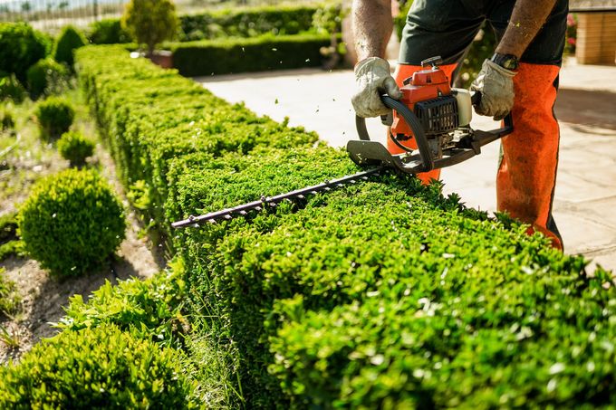 Un homme taille une haie avec un outil électrique, portant un équipement de sécurité, dans un jardin.