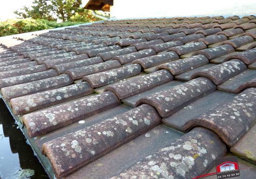 Tuiles recouvertes de mousses et lichens