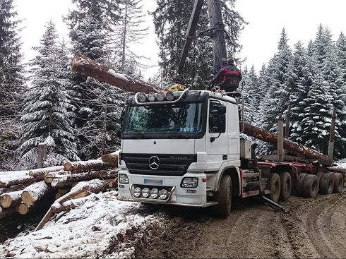 Transport de grumes en r&eacute;gion Rh&ocirc;ne-Alpes