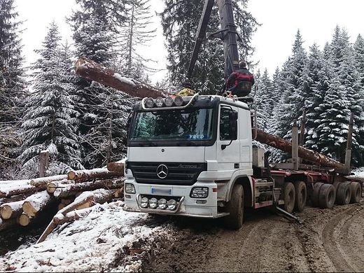 Transport de grumes en région Rhône-Alpes