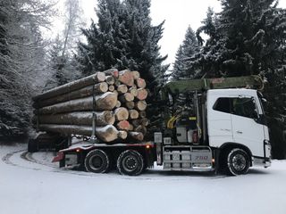 Transport de bois en grumes