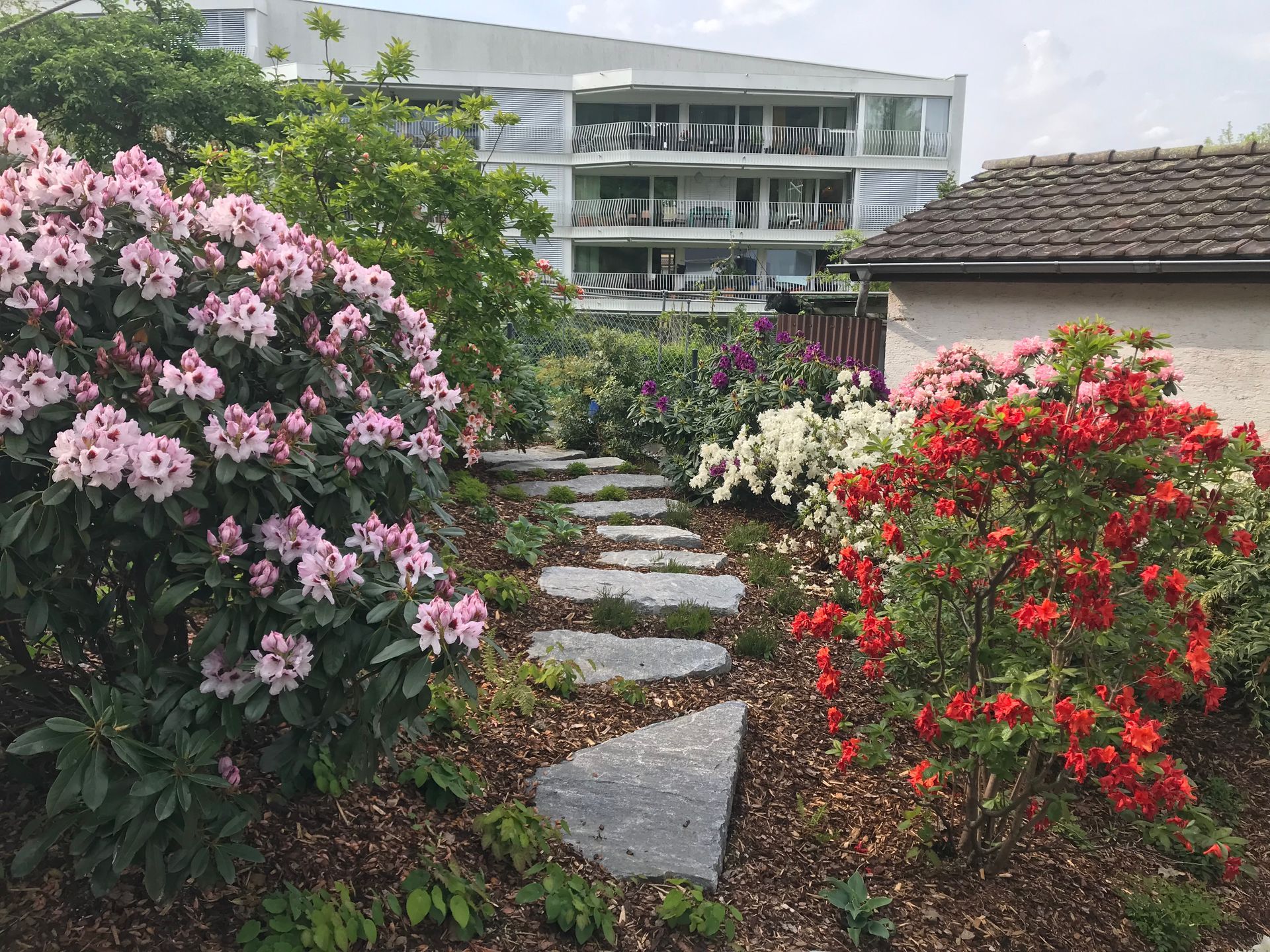 A garden with flowers and a stone path leading to a building.