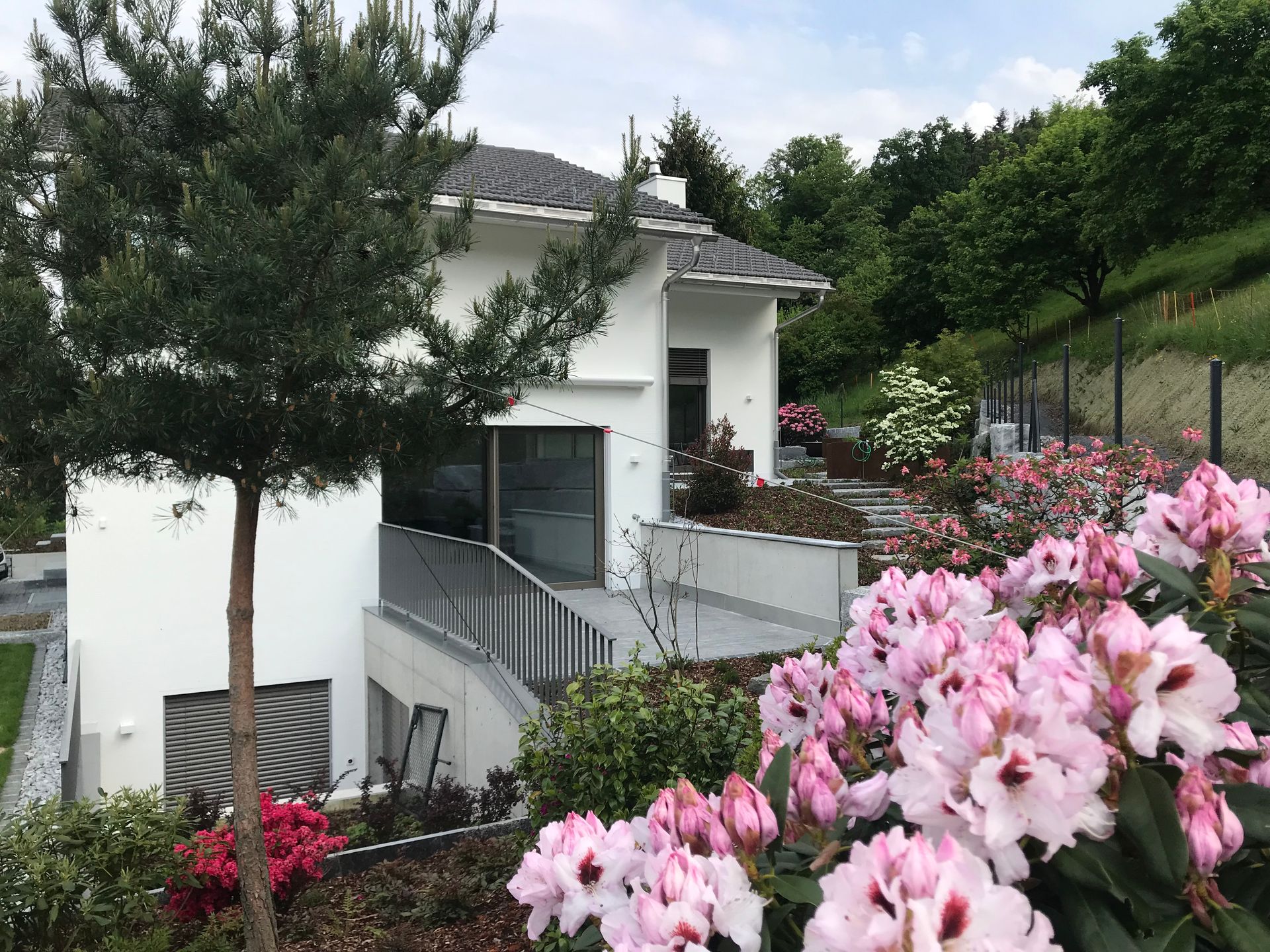 A white house with pink flowers in front of it