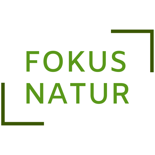 Grüner Text „FOKUS NATUR“ in einem grün umrandeten Quadrat auf weißem Hintergrund.