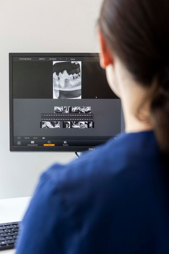 Eine Person in blauer OP-Kleidung betrachtet medizinische Scans auf einem Computermonitor in einer Klinik.