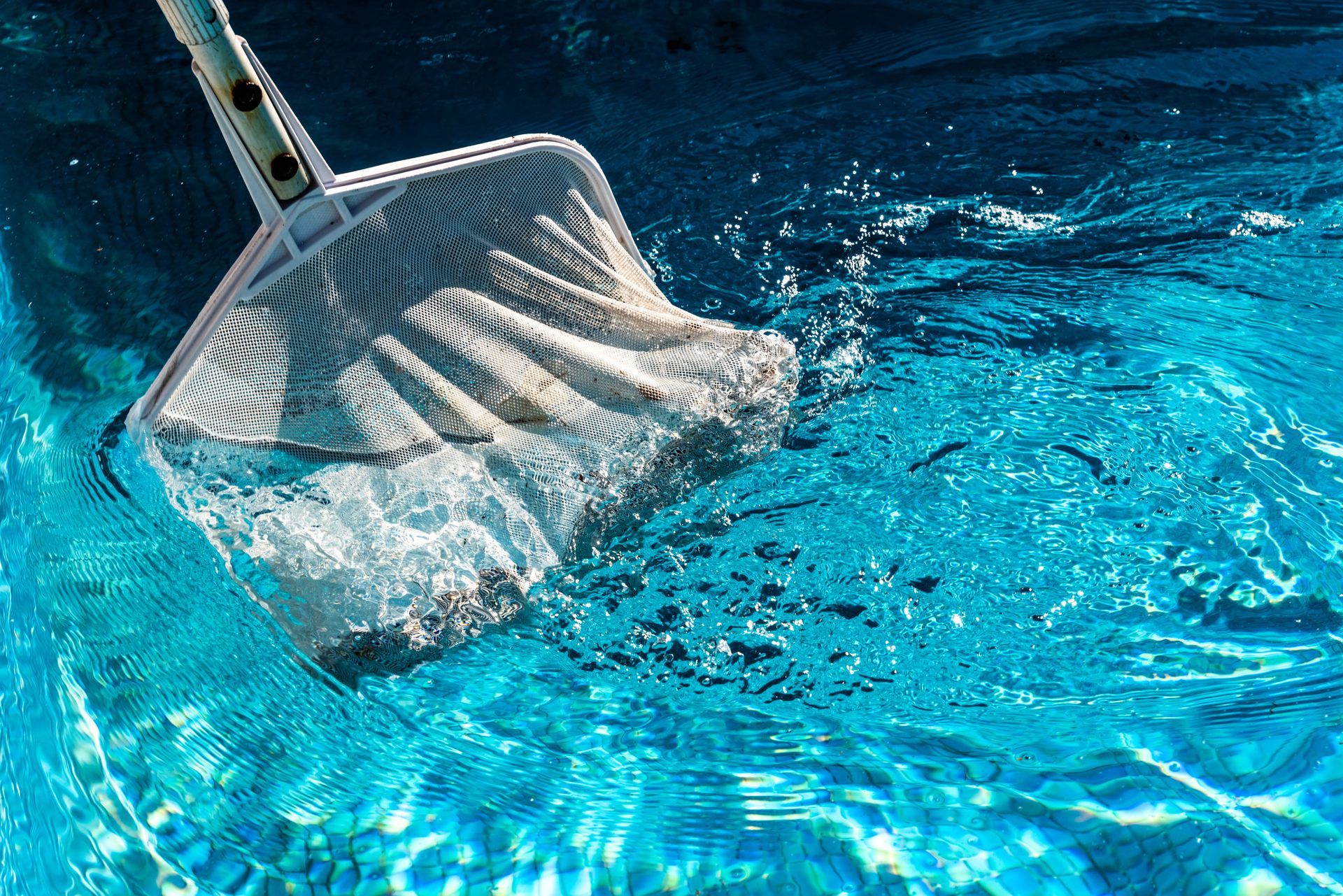 Une épuisette dans une piscine remplie de saletés