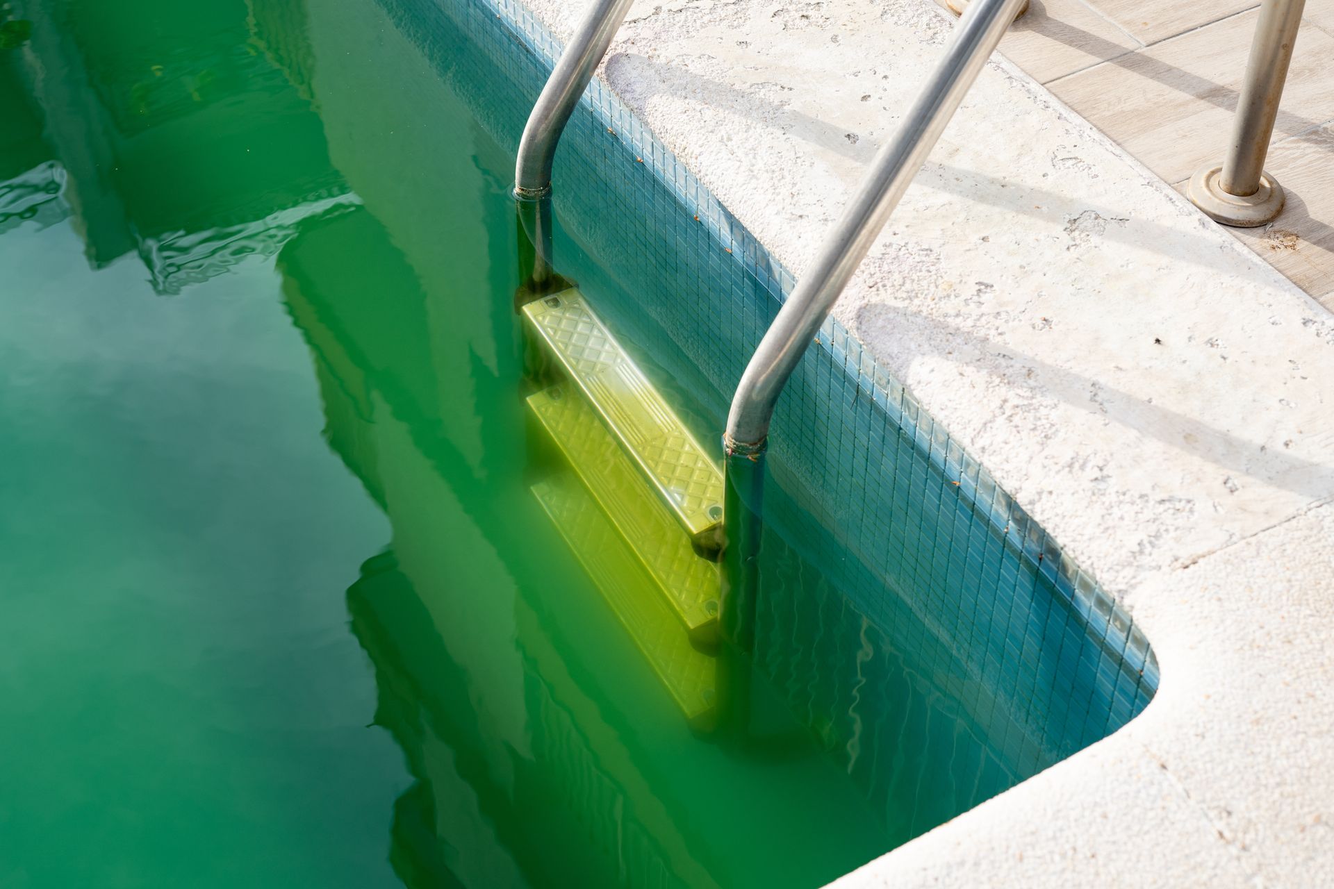 Gros plan sur l'échelle d'une piscine où l'eau est verte