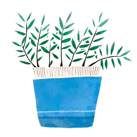 Una planta en maceta azul con hojas verdes sobre un fondo blanco.