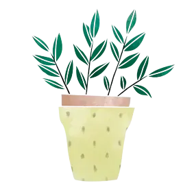 Una planta en maceta con hojas verdes sobre un fondo blanco.