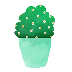 Un cactus verde en una maceta azul sobre un fondo blanco.