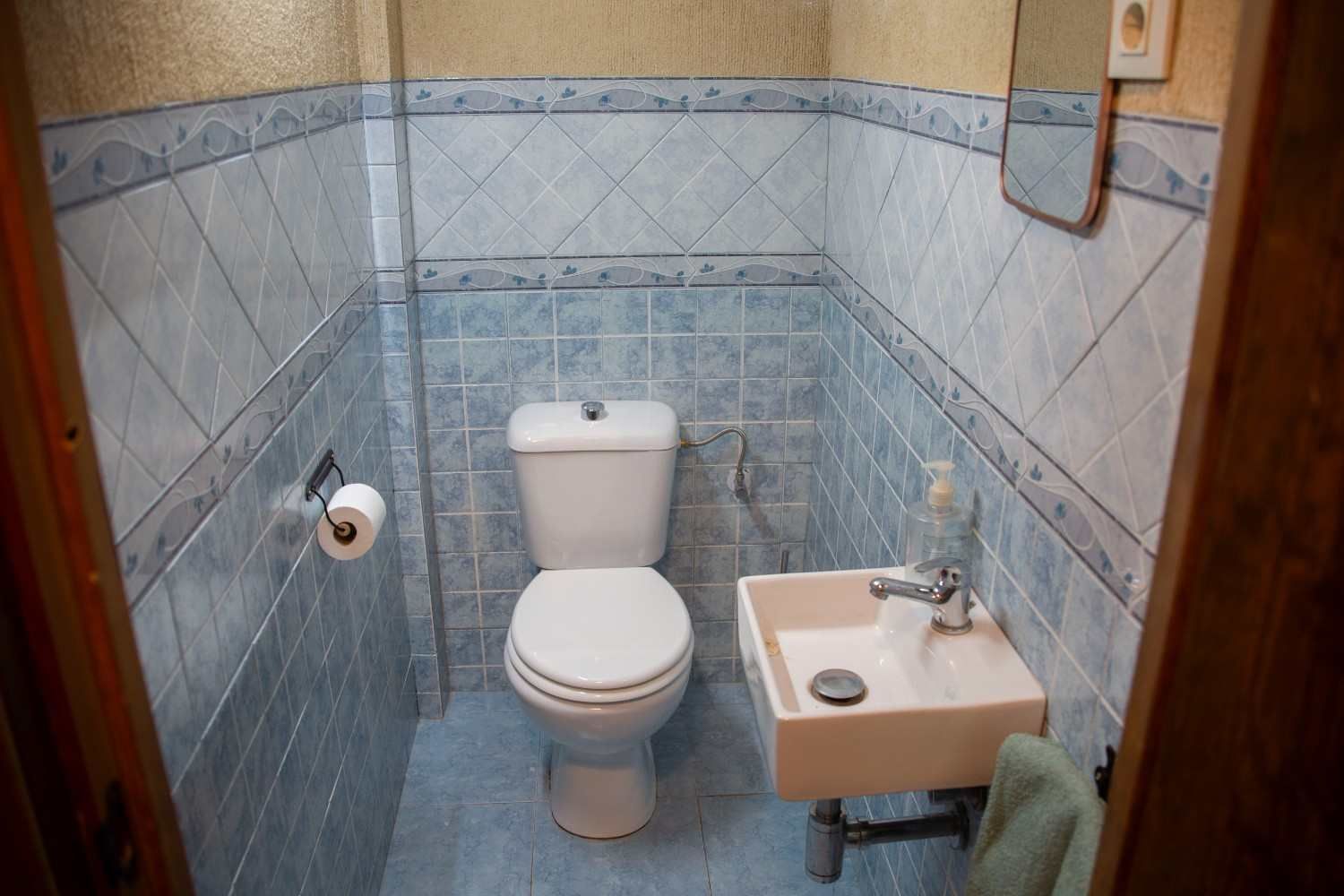 Pequeño baño alicatado con inodoro, lavabo mural y portarrollos de papel higiénico.
