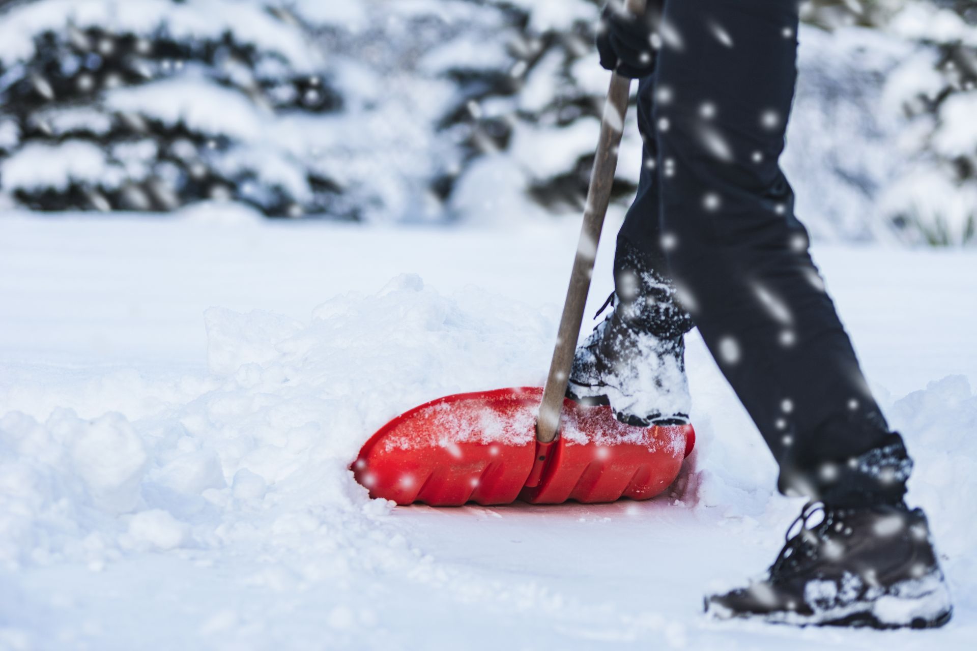Eine Person schaufelt draussen auf einem verschneiten Weg mit einer roten Schneeschaufel Schnee.