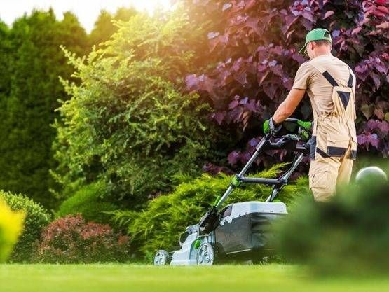 Ein Mann mäht mit einem Handrasenmäher den Rasen in einem üppig grünen Garten.