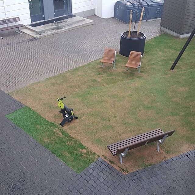 Keinu ja penkkejä asuintalon pihalla