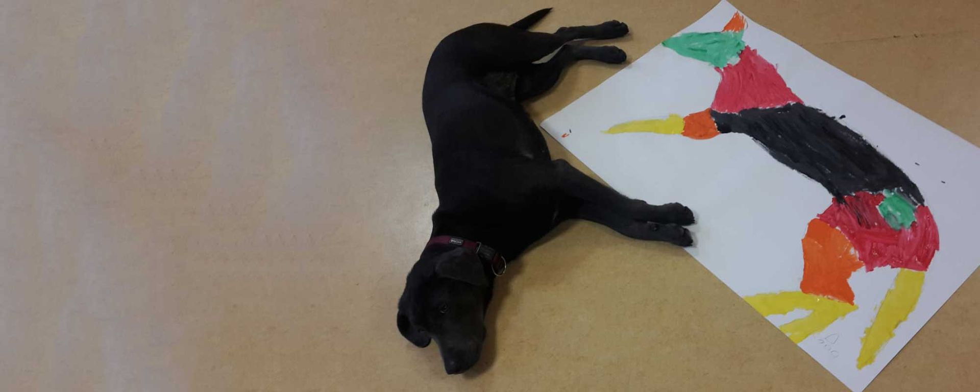 Hund liegt neben einem Bild