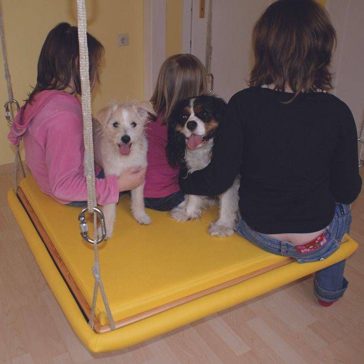 große gelbe Schaukel mit zwei Hunden und drei Personen darauf