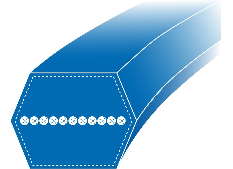 Schéma en coupe d'une courroie 1