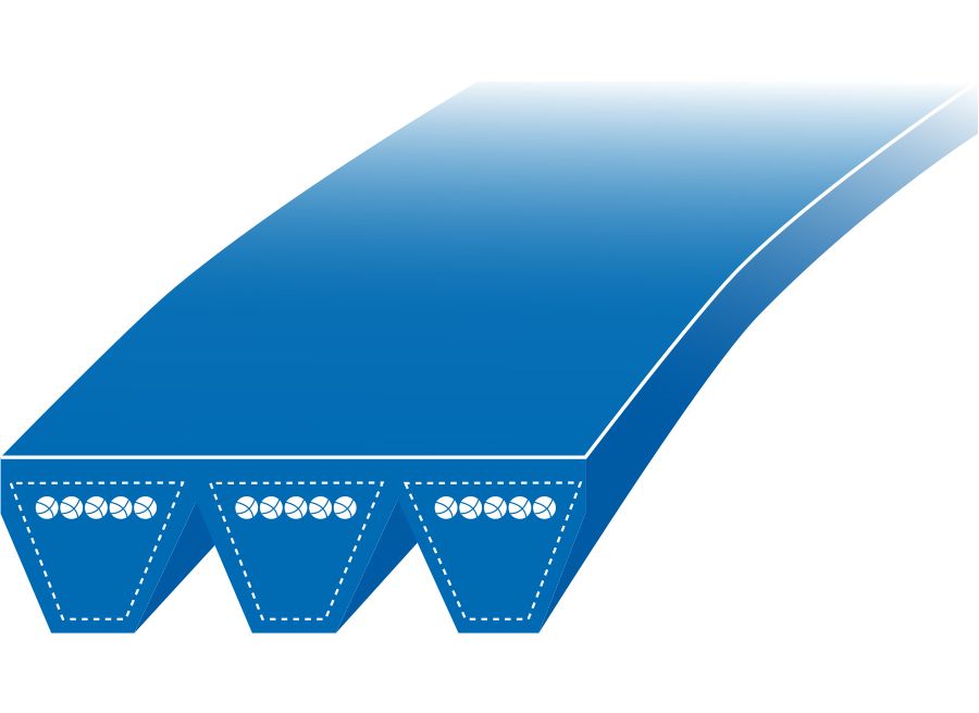 Schéma en coupe d'une courroie 4