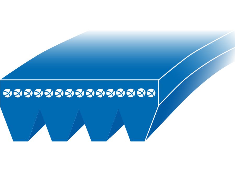 Schéma en coupe d'une courroie 5