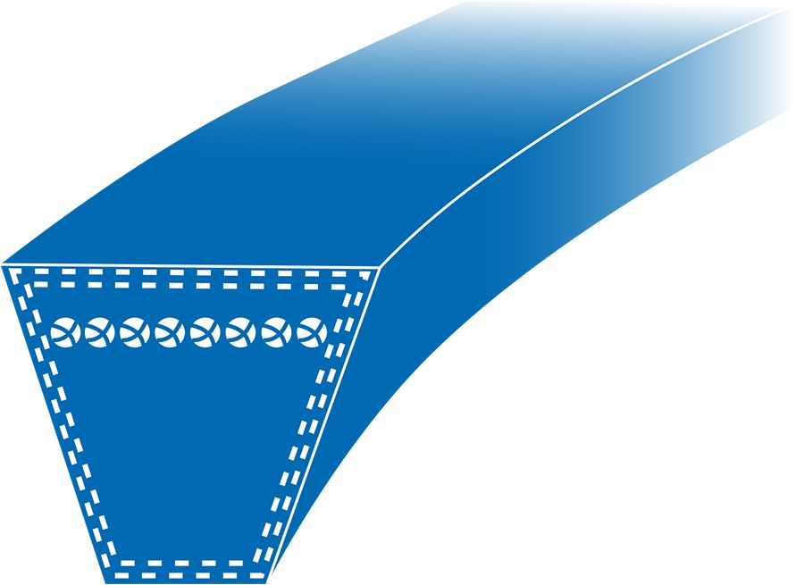 Schéma en coupe d'une courroie 2